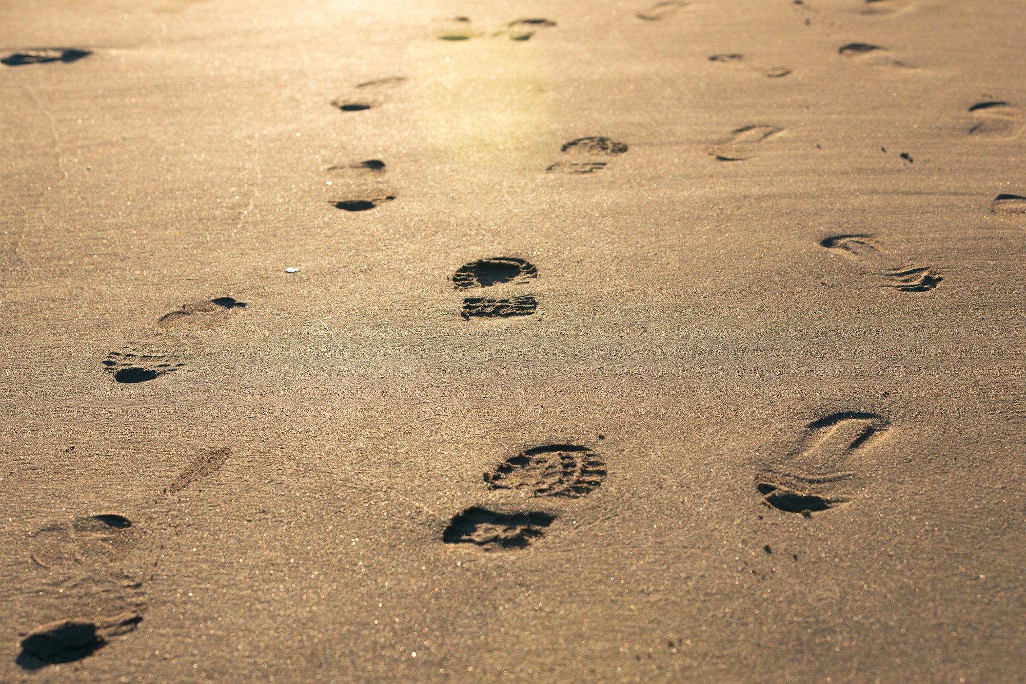 Digital Footprint Monitoring: Managing Your Online Privacy Amid Third-Party Breaches